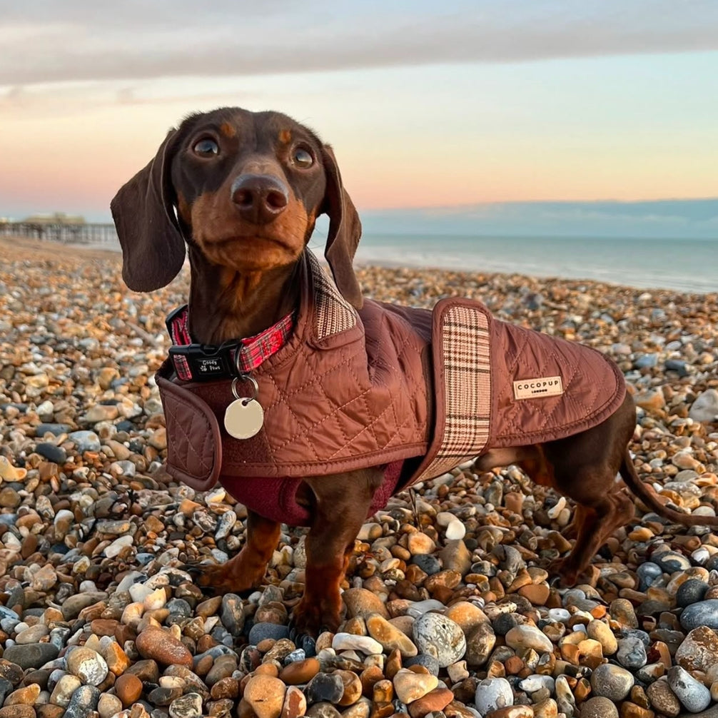 Cocopup Pup Plaid Quilted Dog Coat