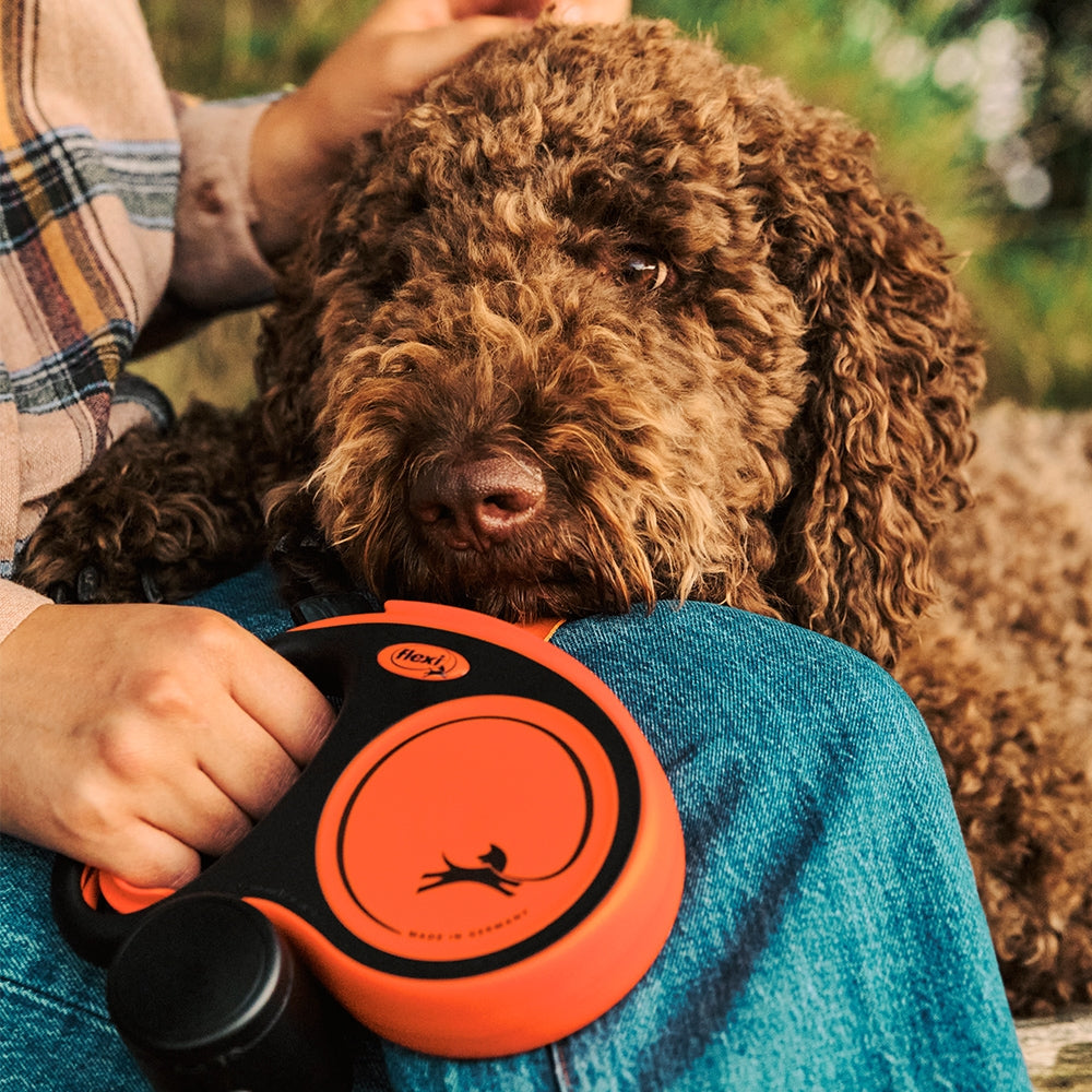 Flexi Xtreme 5m Retractable Dog Lead, Large