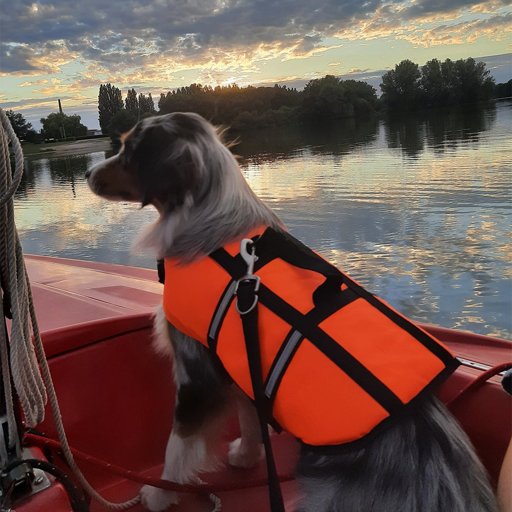 Nobby Dog Buoyancy Aid, Neon Orange