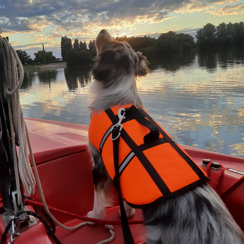 Nobby Dog Buoyancy Aid, Neon Orange