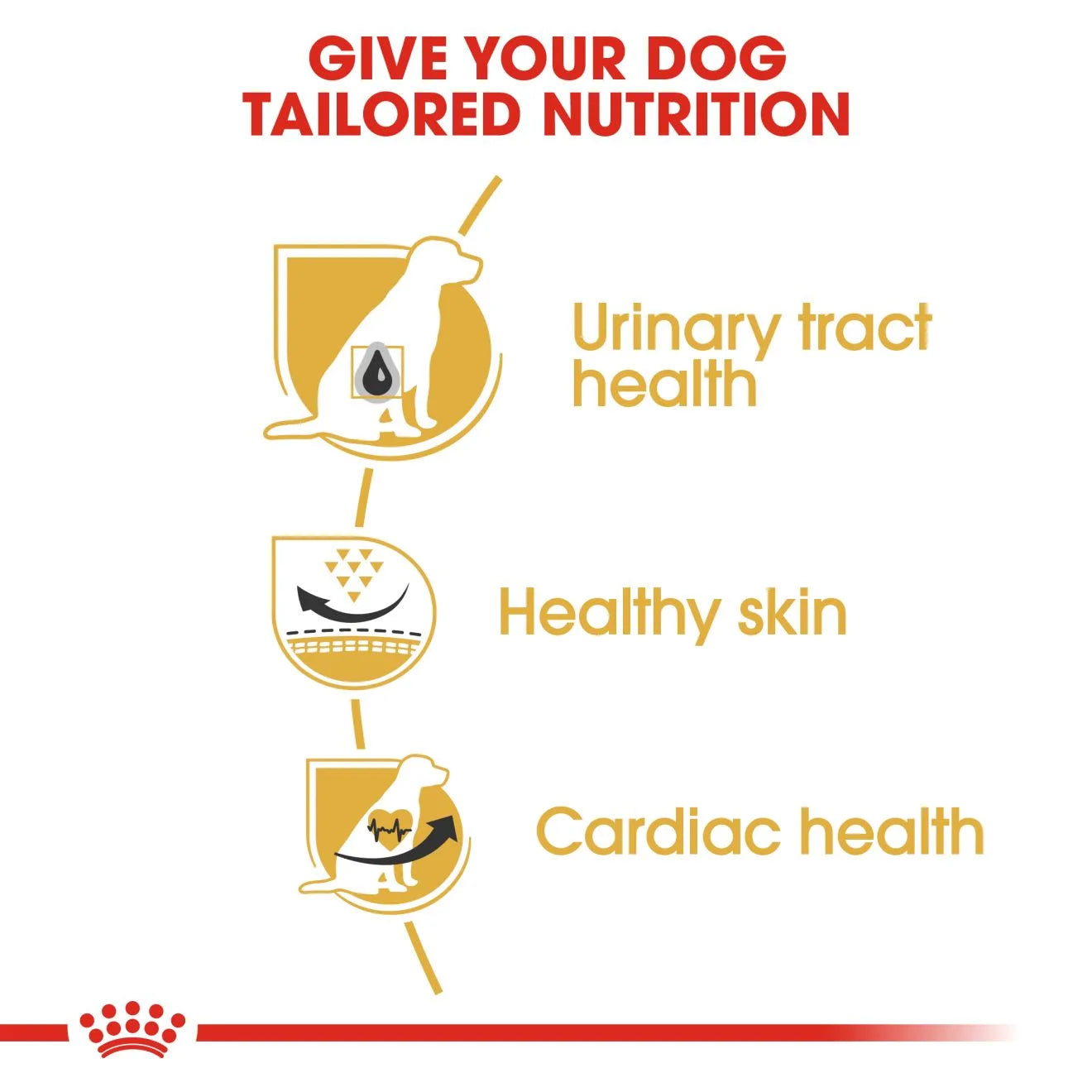 Royal Canin Dry Dog Food for Adult Dalmatians, 12kg
