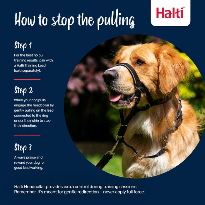 Halti Train Headcollar, Black