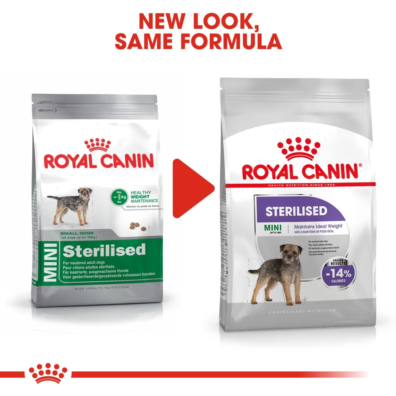 Royal Canin Sterilised Dry Dog Food for Small Breed Adult Dogs