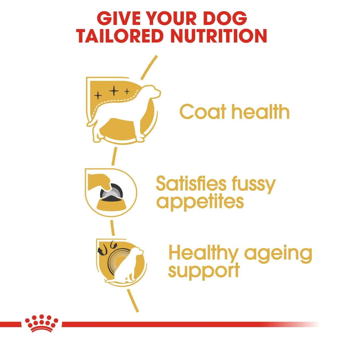 Royal Canin Dry Dog Food for Adult Yorkshire Terriers
