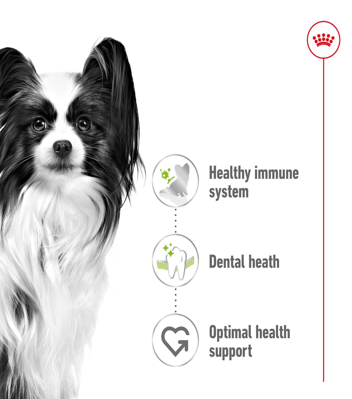 Royal Canin Dry Dog Food for Extra-Small Breed Adult Dogs, 1.5kg