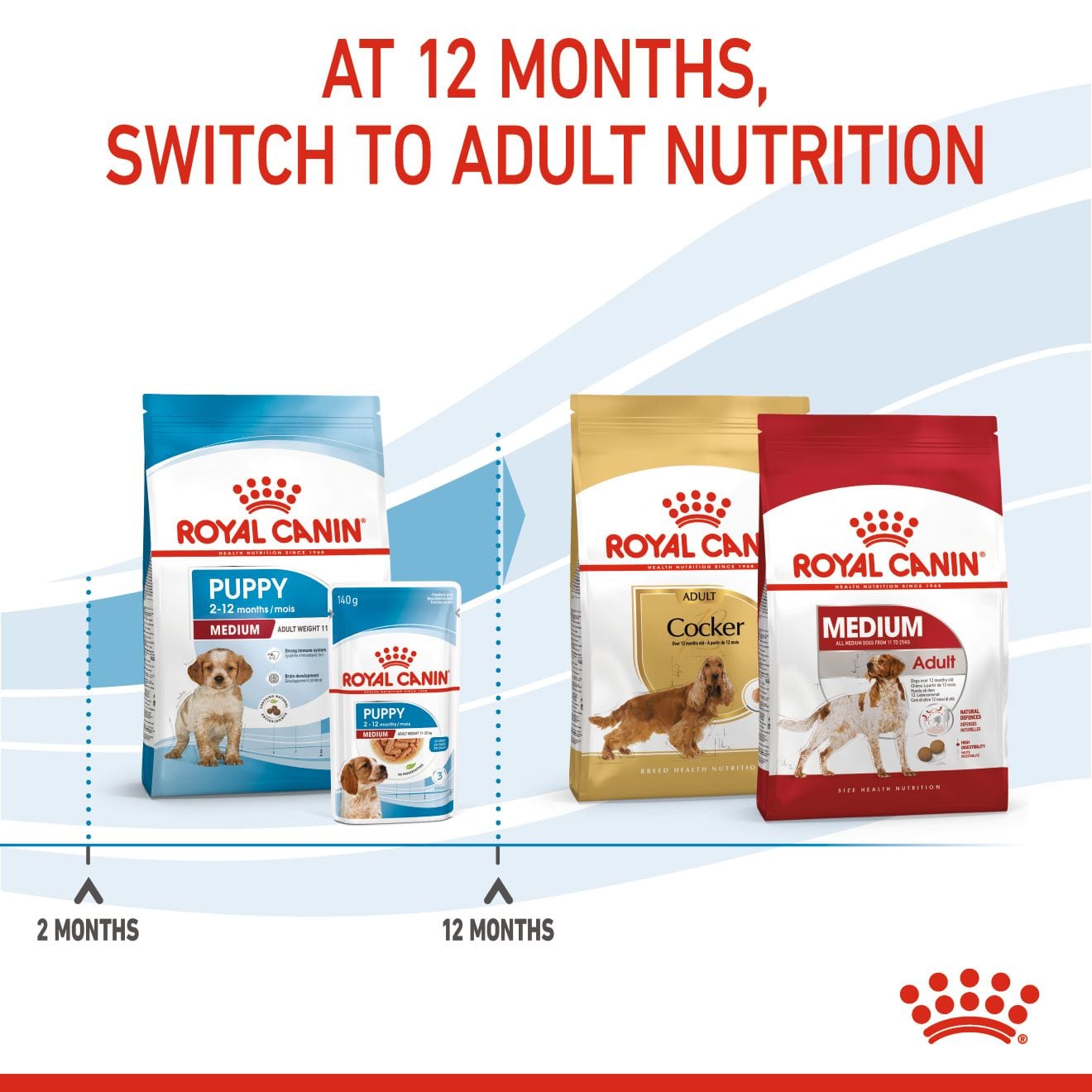 Royal Canin Dry Dog Food for Medium Breed Puppies, 4kg