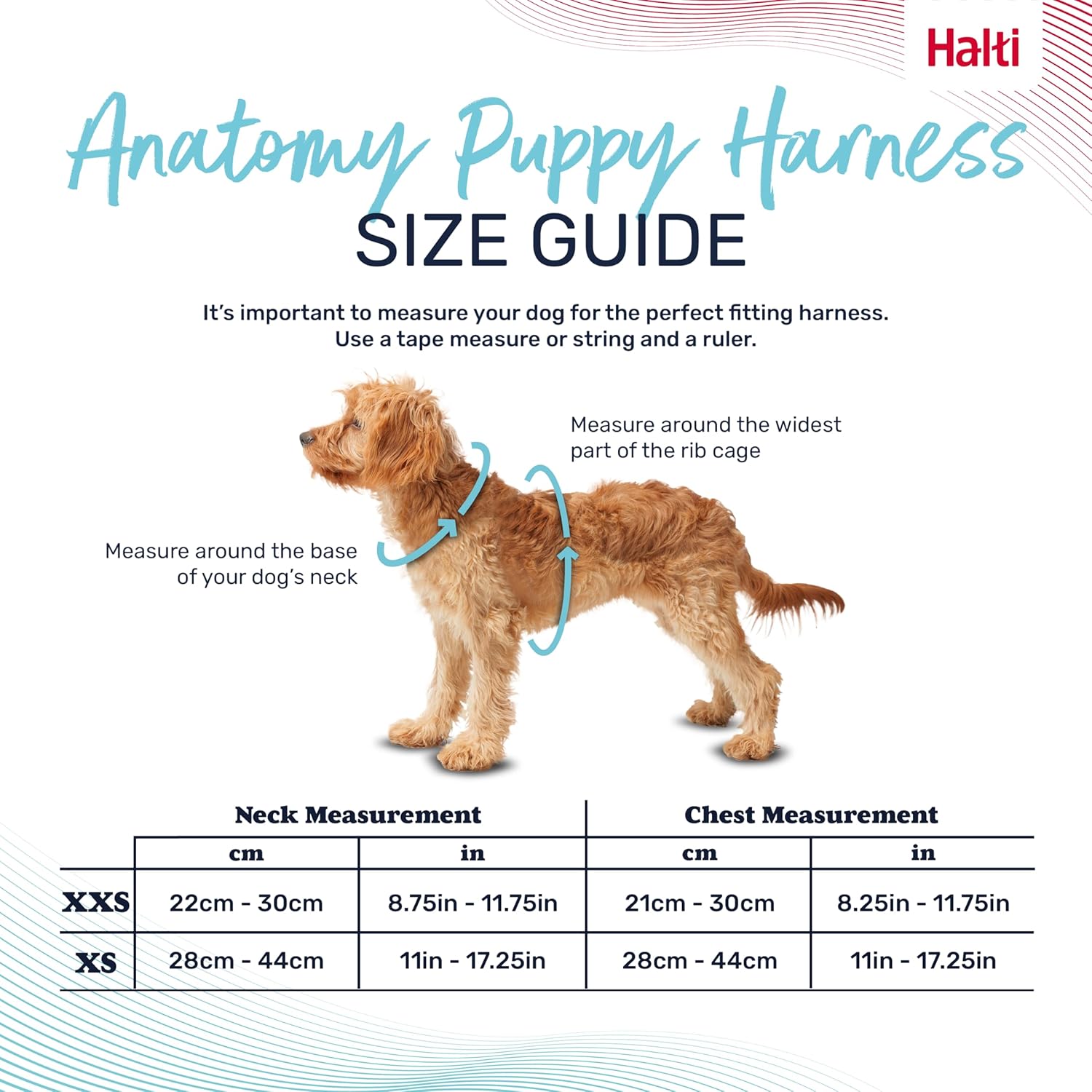 Halti Anatomy Grey Puppy Harness, Extra-Small