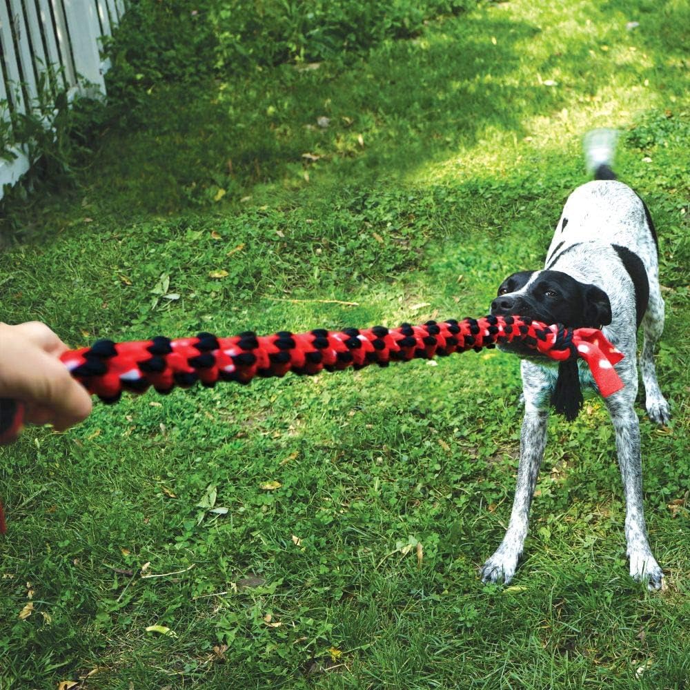 Kong Signature 20" Dual Knot Rope Dog Toy