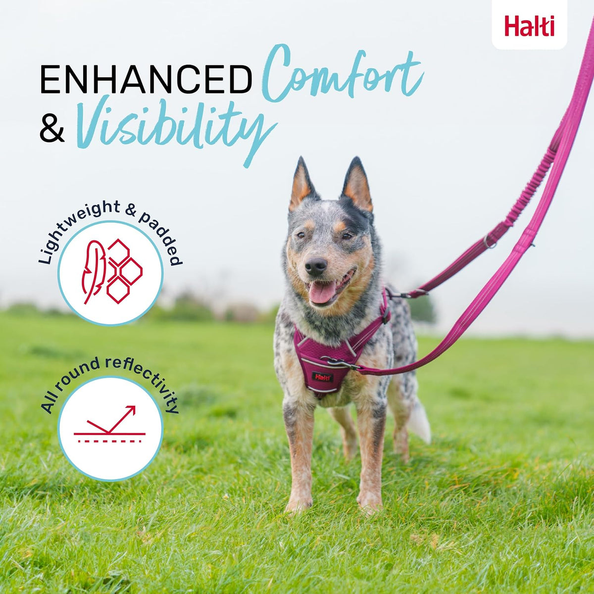 Halti Anatomy Multi Dog Lead, Small Grey