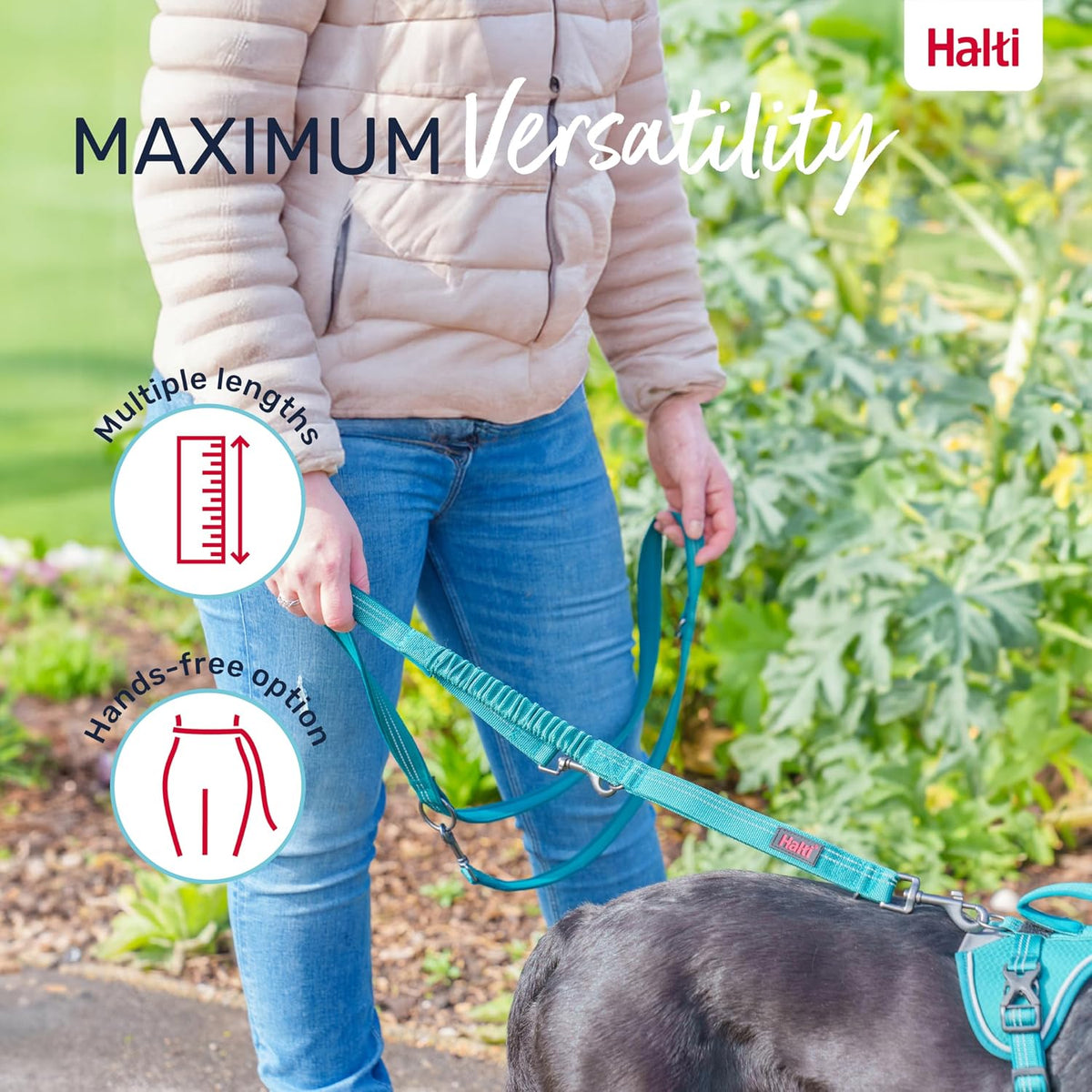 Halti Anatomy Multi Dog Lead, Small Grey