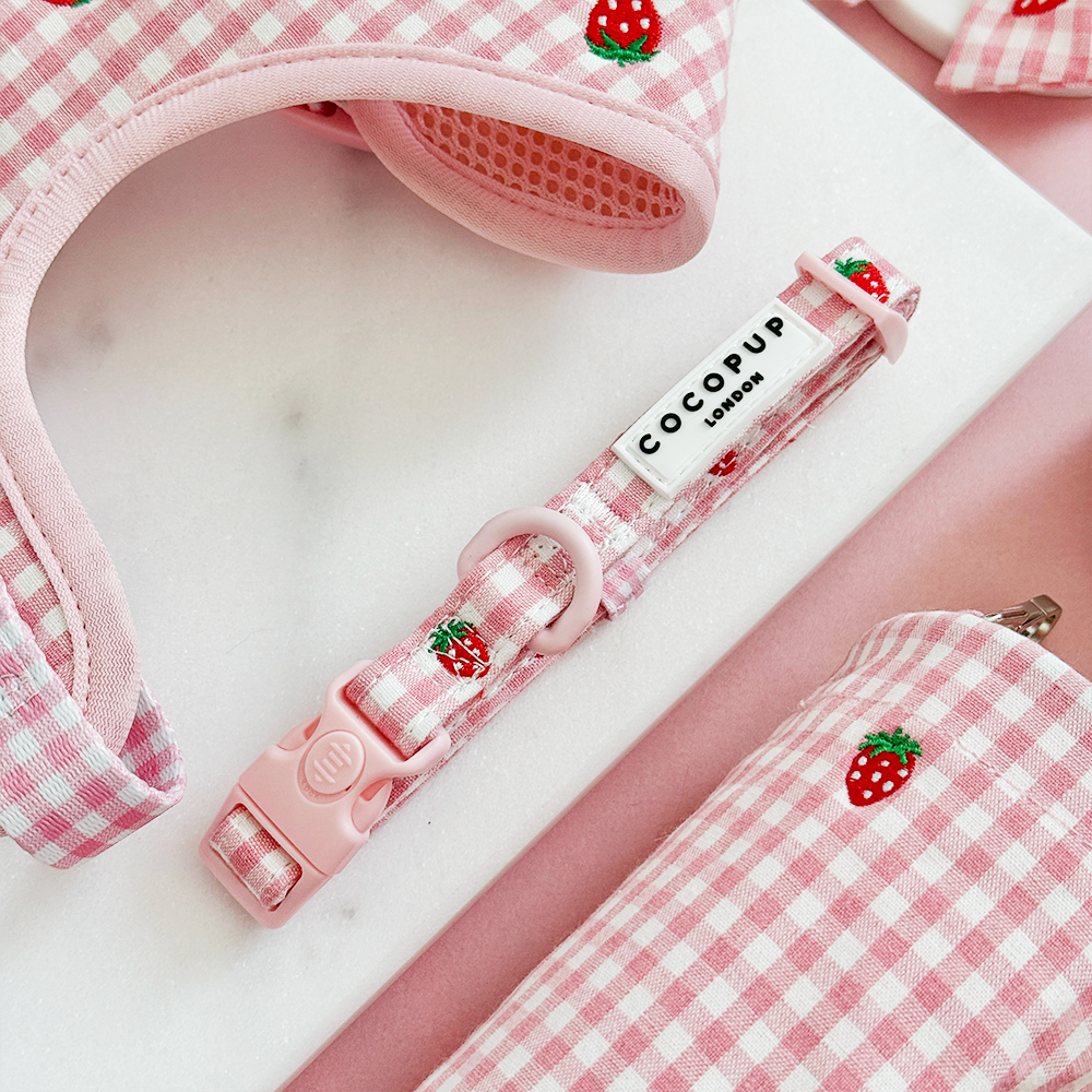 Cocopup Strawberry Picnic Pup Dog Collar