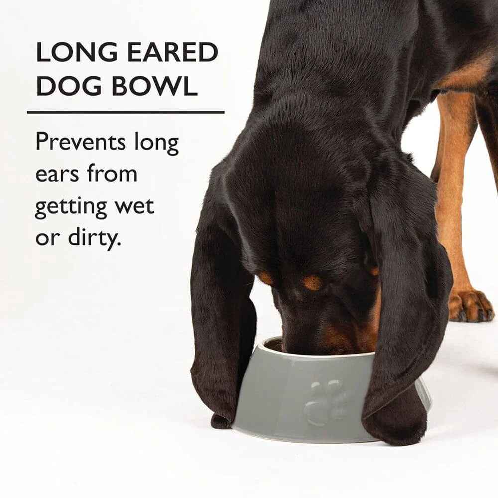 Scruffs Classic Grey 21cm Long Eared Dog Bowl