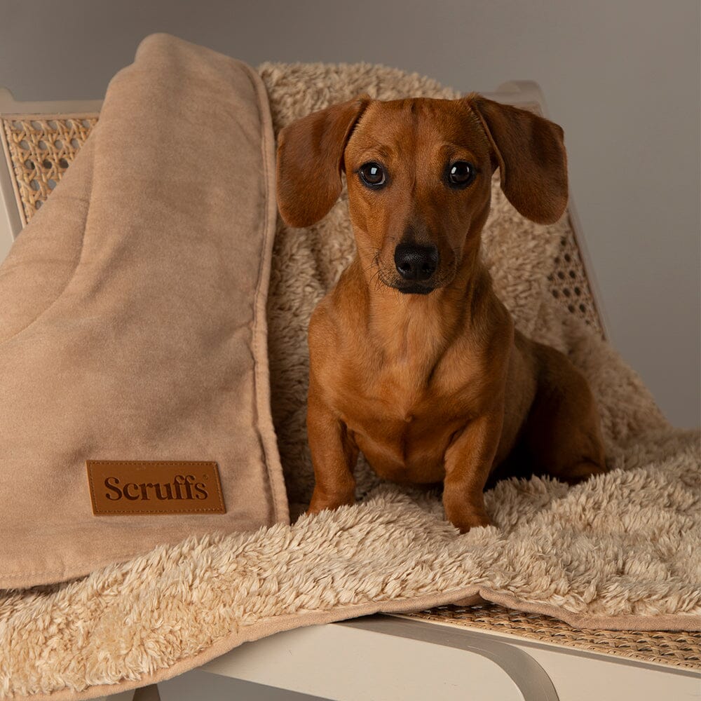Scruffs Snuggle Pet Blanket, Desert Sand