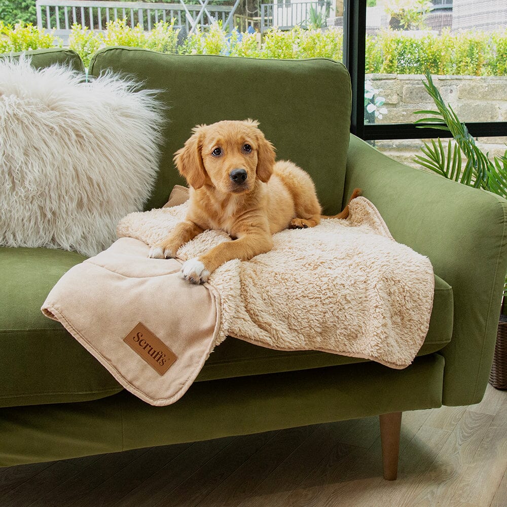 Scruffs Snuggle Pet Blanket, Desert Sand