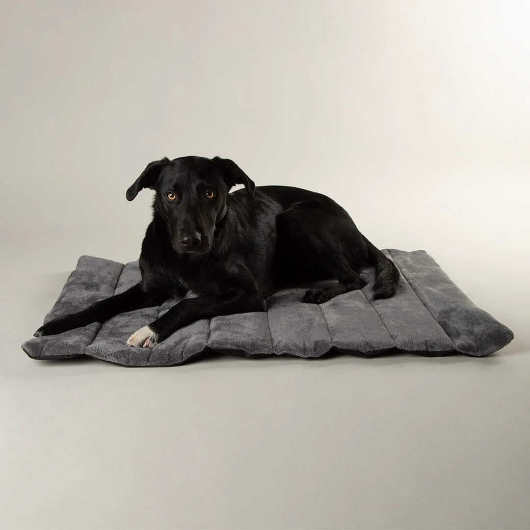 Scruffs Roll Up Travel Dog Bed