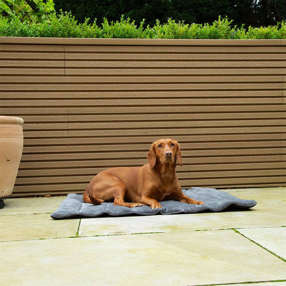 Scruffs Roll Up Travel Dog Bed