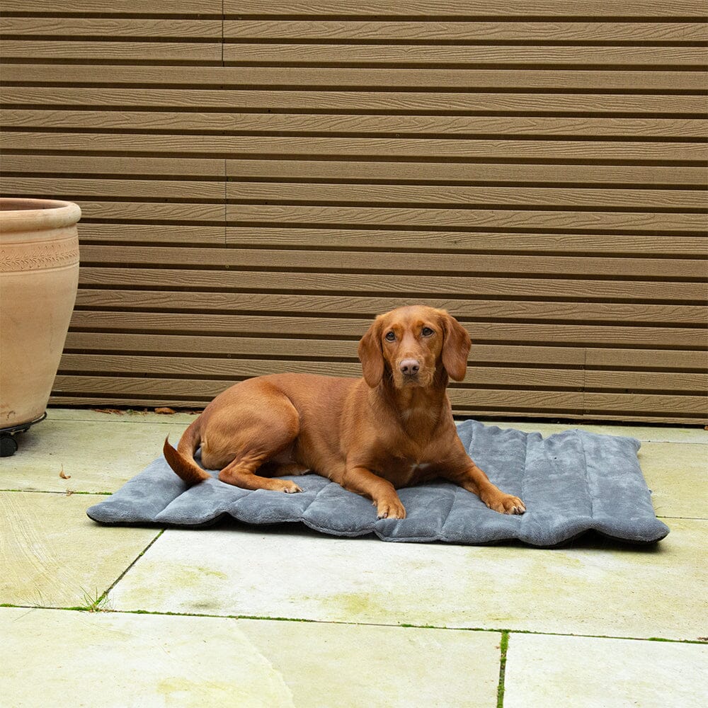 Scruffs Roll Up Travel Dog Bed
