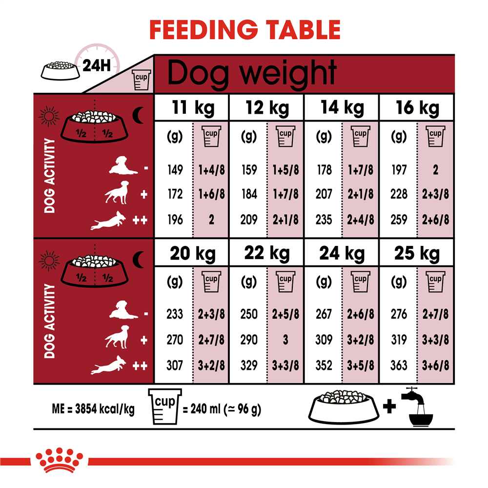 Royal Canin Dry Dog Food for Medium Breed 7+ Adult Dogs, 4kg