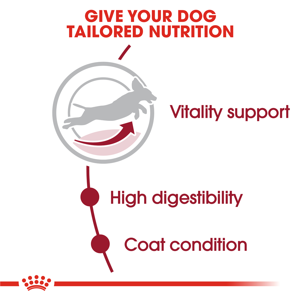 Royal Canin Dry Dog Food for Medium Breed 7+ Adult Dogs, 4kg