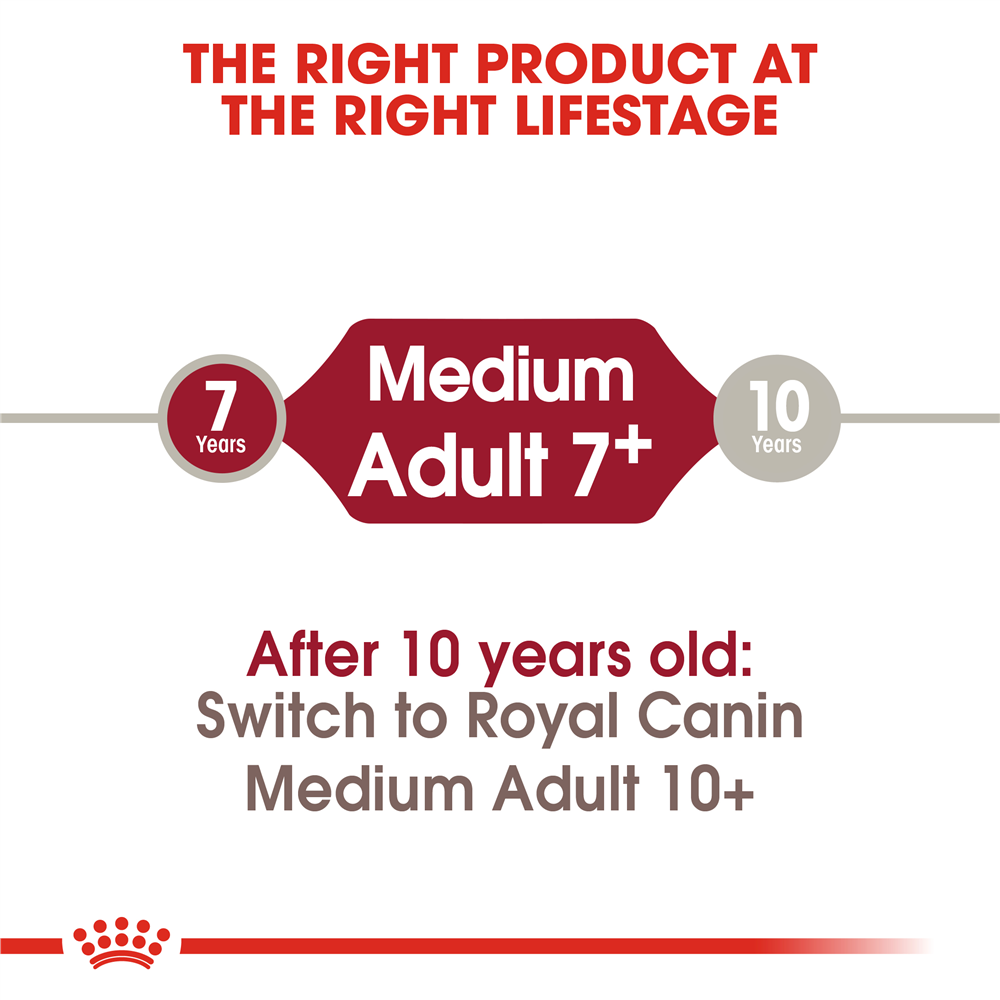 Royal Canin Dry Dog Food for Medium Breed 7+ Adult Dogs, 4kg