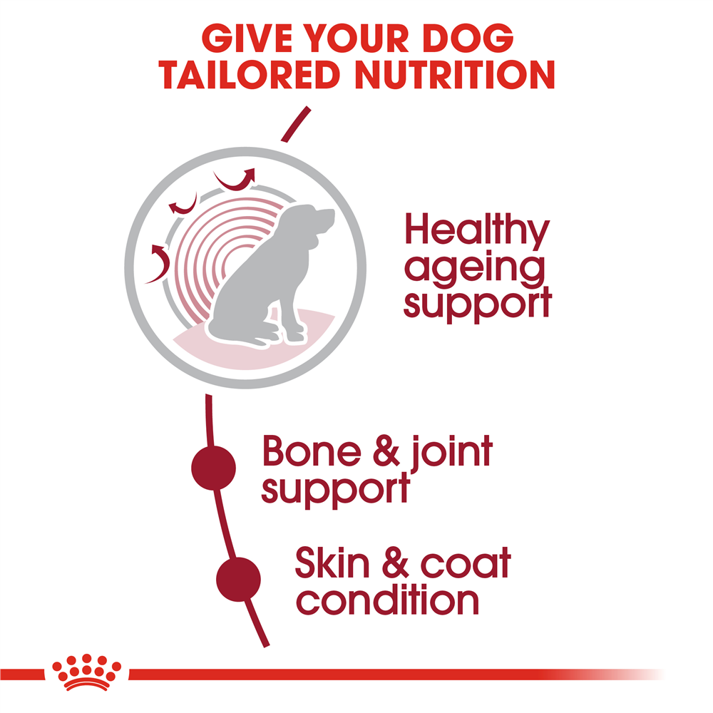 Royal Canin Ageing 10+ Dry Dog Food for Medium Breed Senior Dogs, 3kg