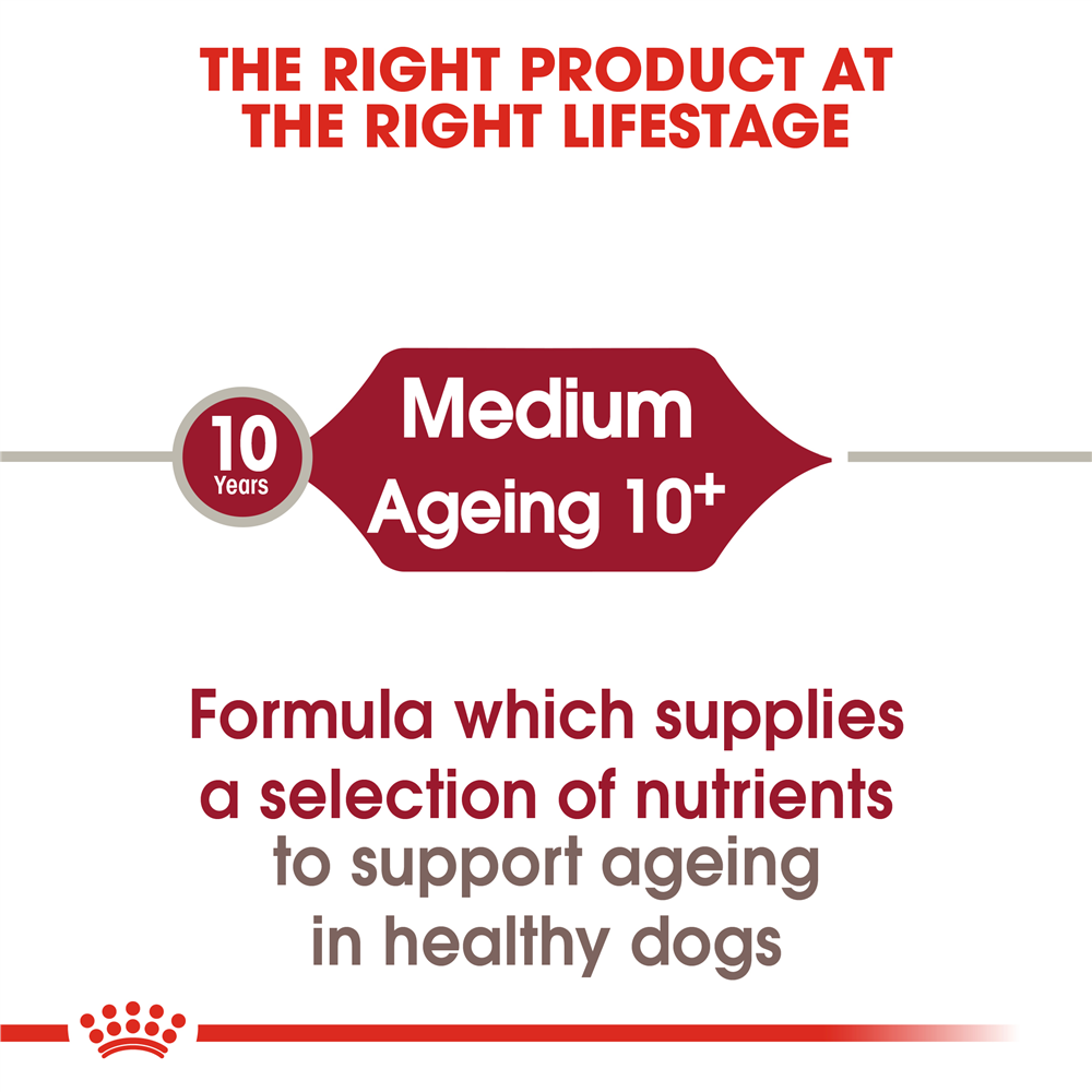 Royal Canin Ageing 10+ Dry Dog Food for Medium Breed Senior Dogs, 3kg