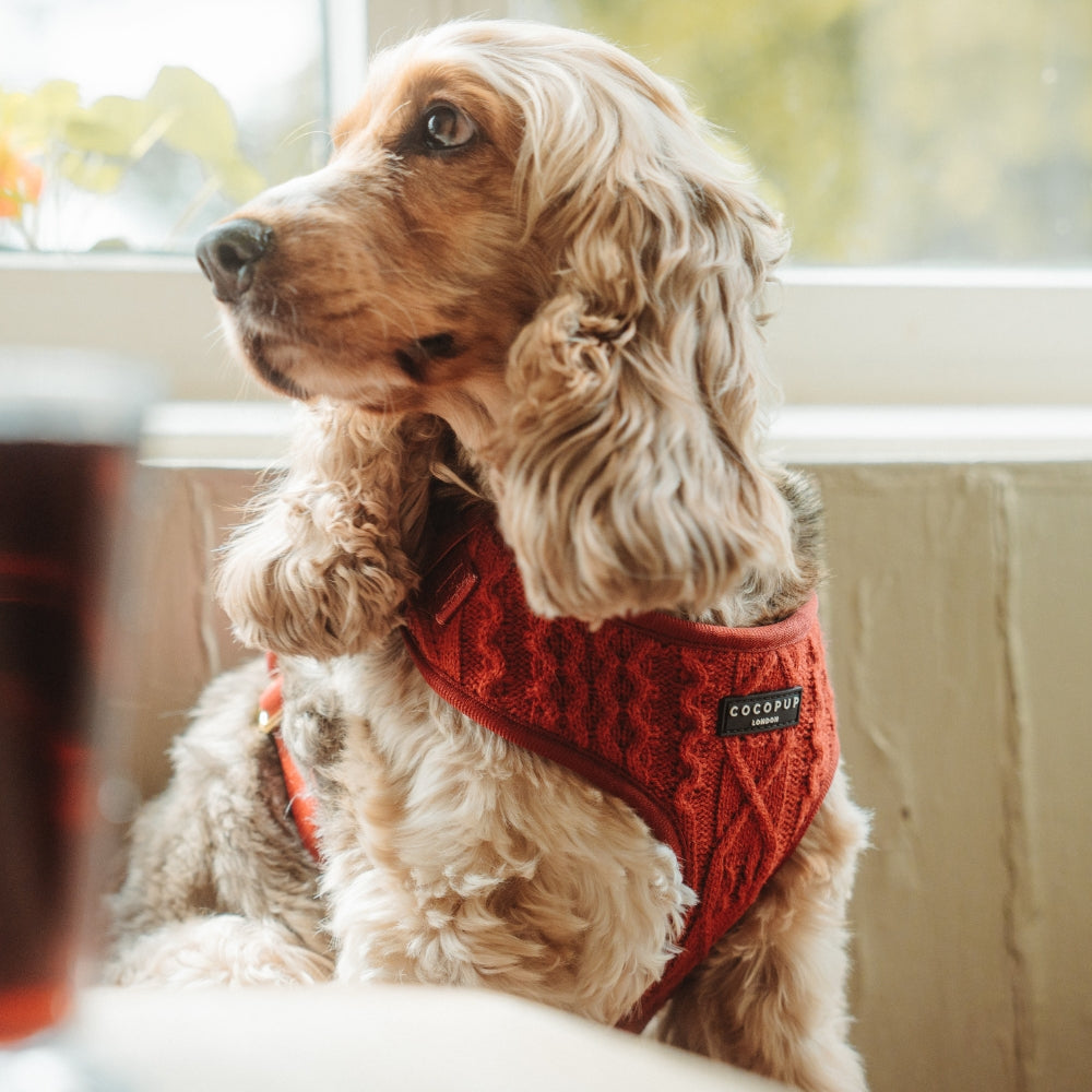 Cocopup Mulled Wine Cable Knit Adjustable Neck Dog Harness