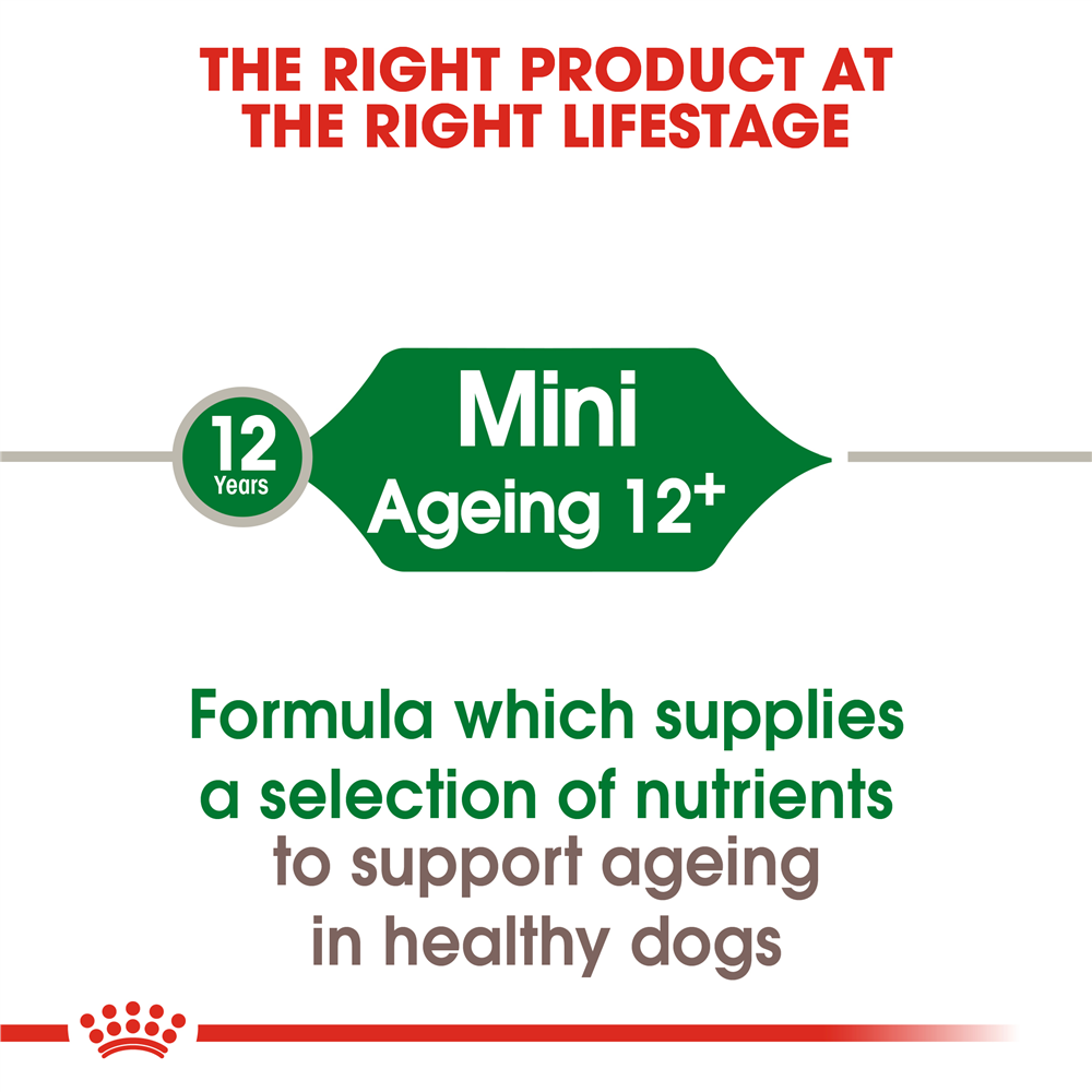 Royal Canin Ageing 12+ Dry Dog Food for Small Breed Senior Dogs, 1.5kg