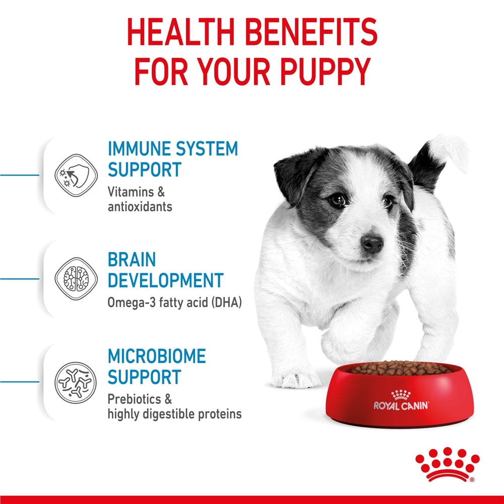Royal Canin Dry Dog Food for Small Breed Puppies
