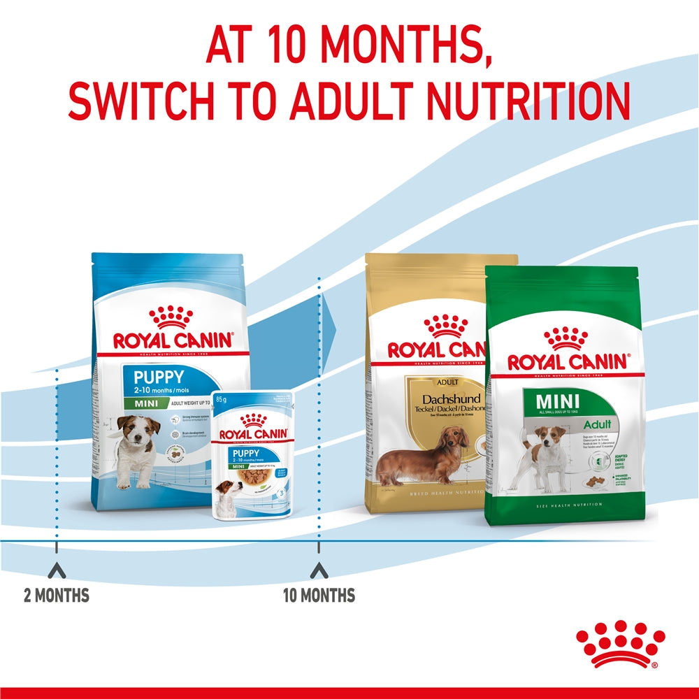 Royal Canin Dry Dog Food for Small Breed Puppies