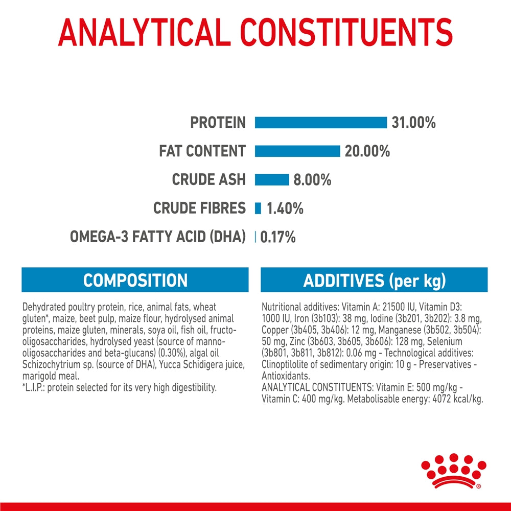 Royal Canin Dry Dog Food for Small Breed Puppies