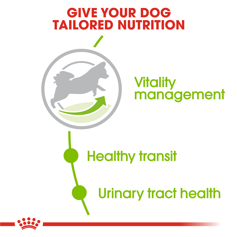 Royal Canin Dry Dog Food for Extra Small Breed 8+ Adult Dogs, 1.5kg
