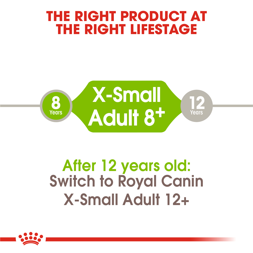 Royal Canin Dry Dog Food for Extra Small Breed 8+ Adult Dogs, 1.5kg
