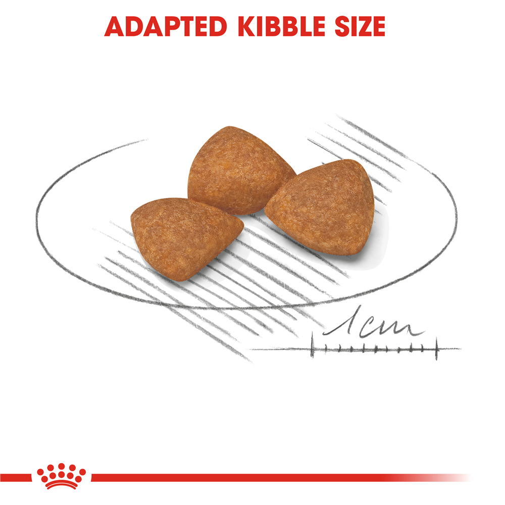 Royal Canin Ageing 12+ Dry Dog Food for Extra-Small Breed Senior Dogs, 1.5kg