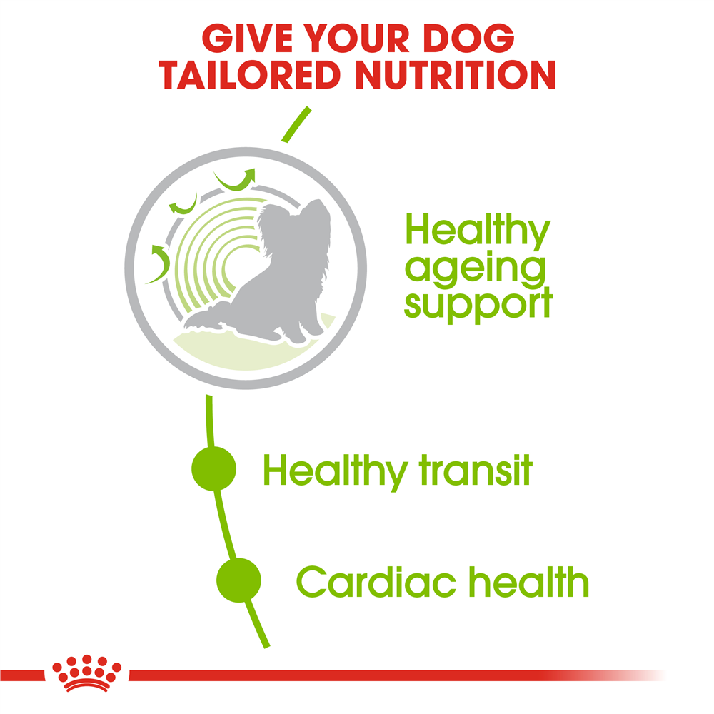Royal Canin Ageing 12+ Dry Dog Food for Extra-Small Breed Senior Dogs, 1.5kg