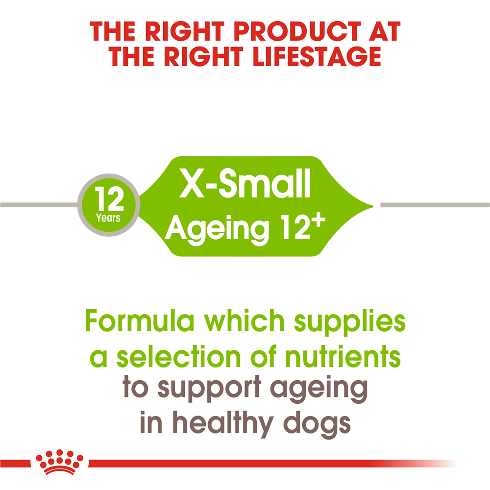 Royal Canin Ageing 12+ Dry Dog Food for Extra-Small Breed Senior Dogs, 1.5kg