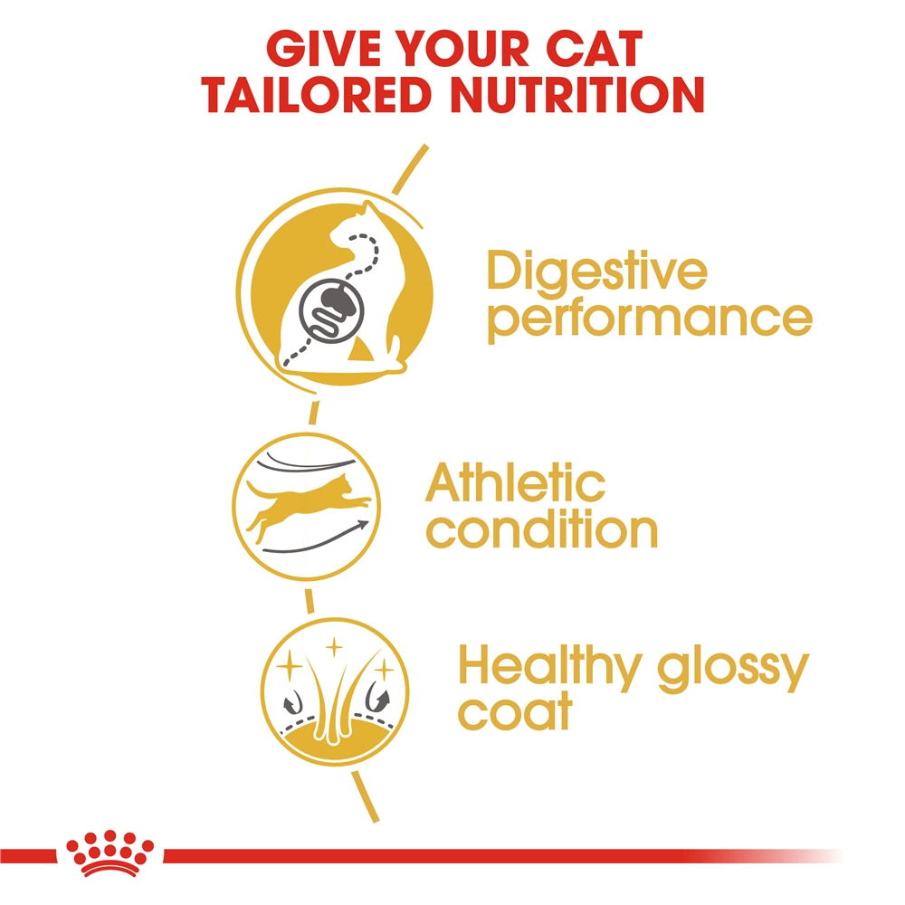 Royal Canin Dry Cat Food for Adult Bengal Cats, 2kg