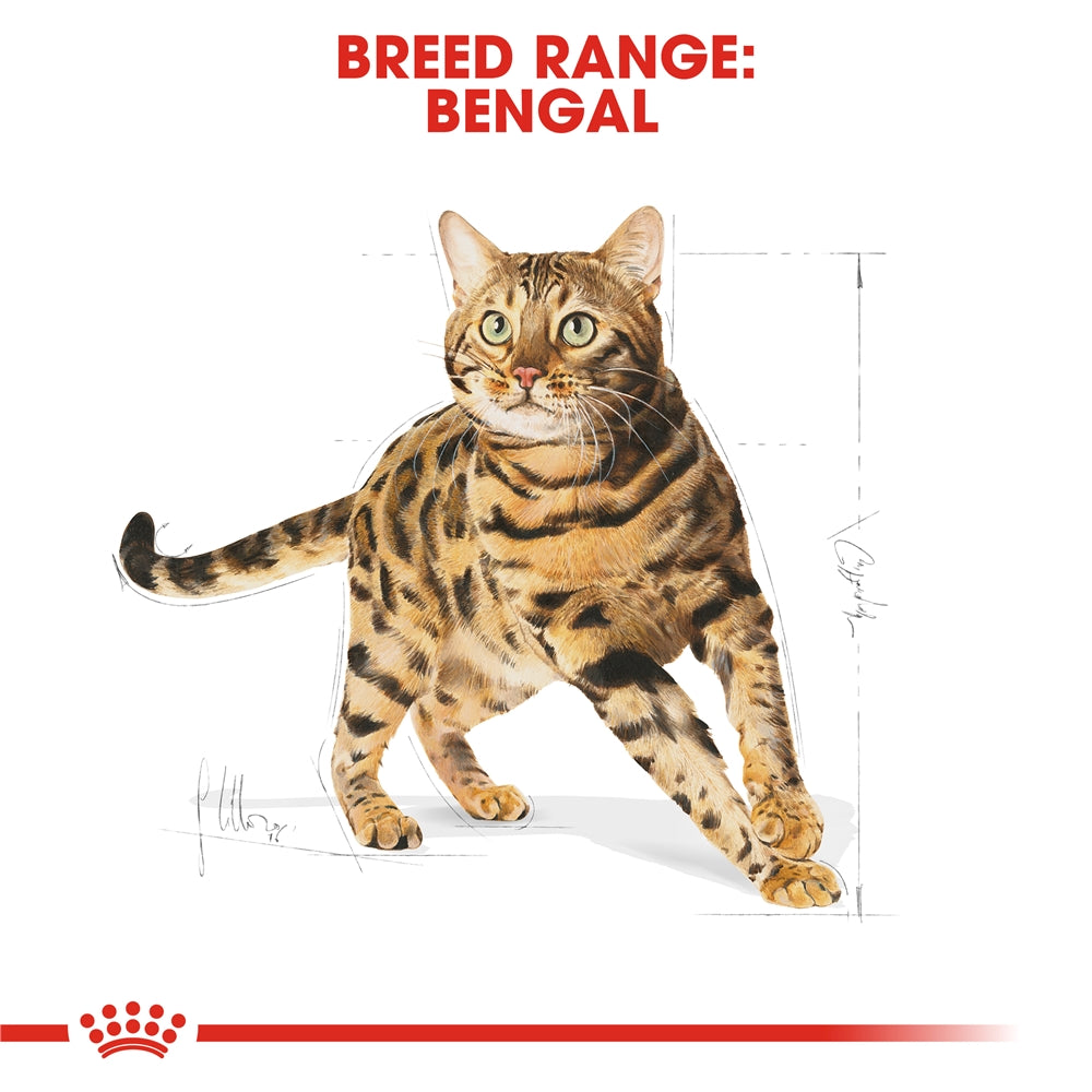 Royal Canin Dry Cat Food for Adult Bengal Cats, 2kg