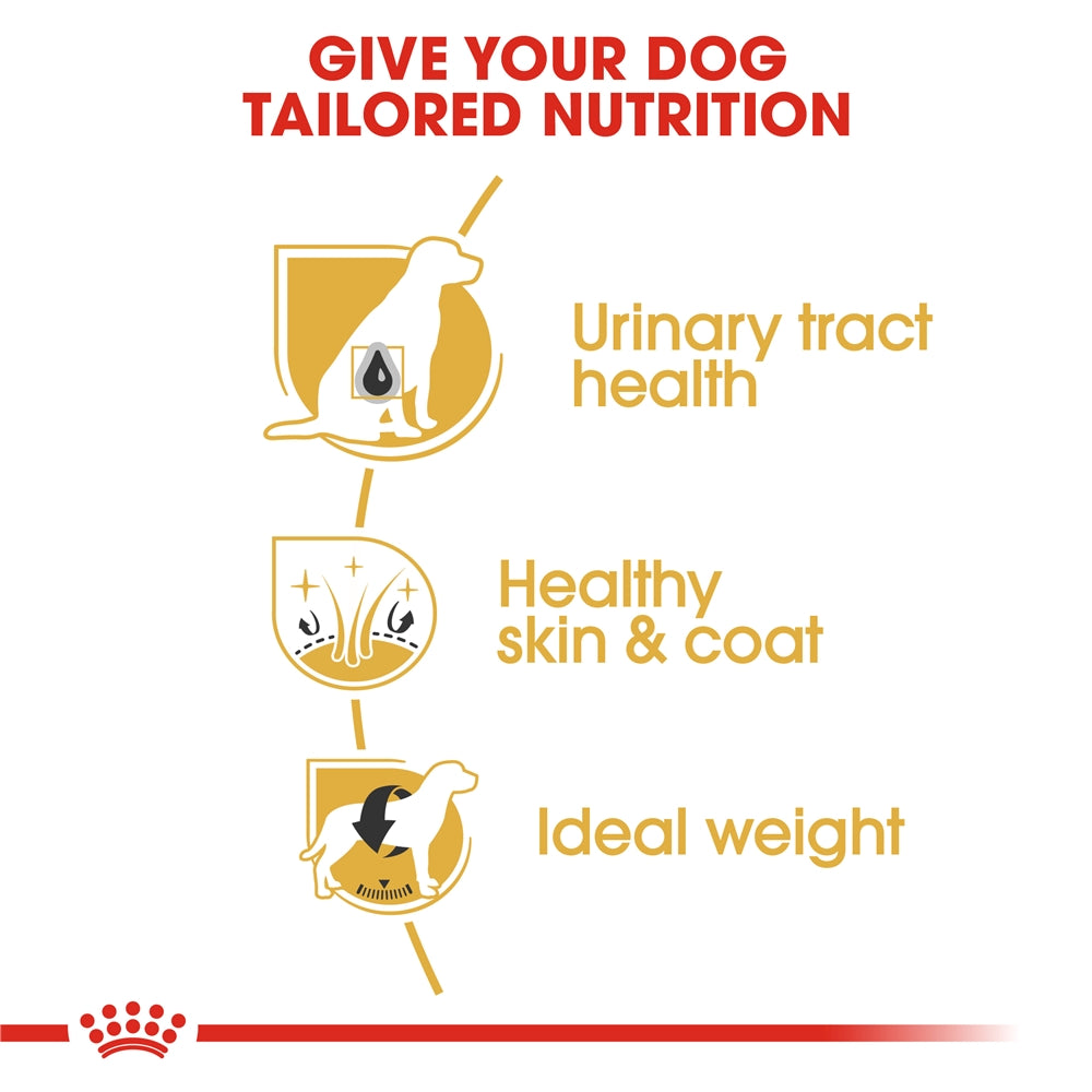 Royal Canin Dry Dog Food for Adult Bichon Frises, 1.5kg