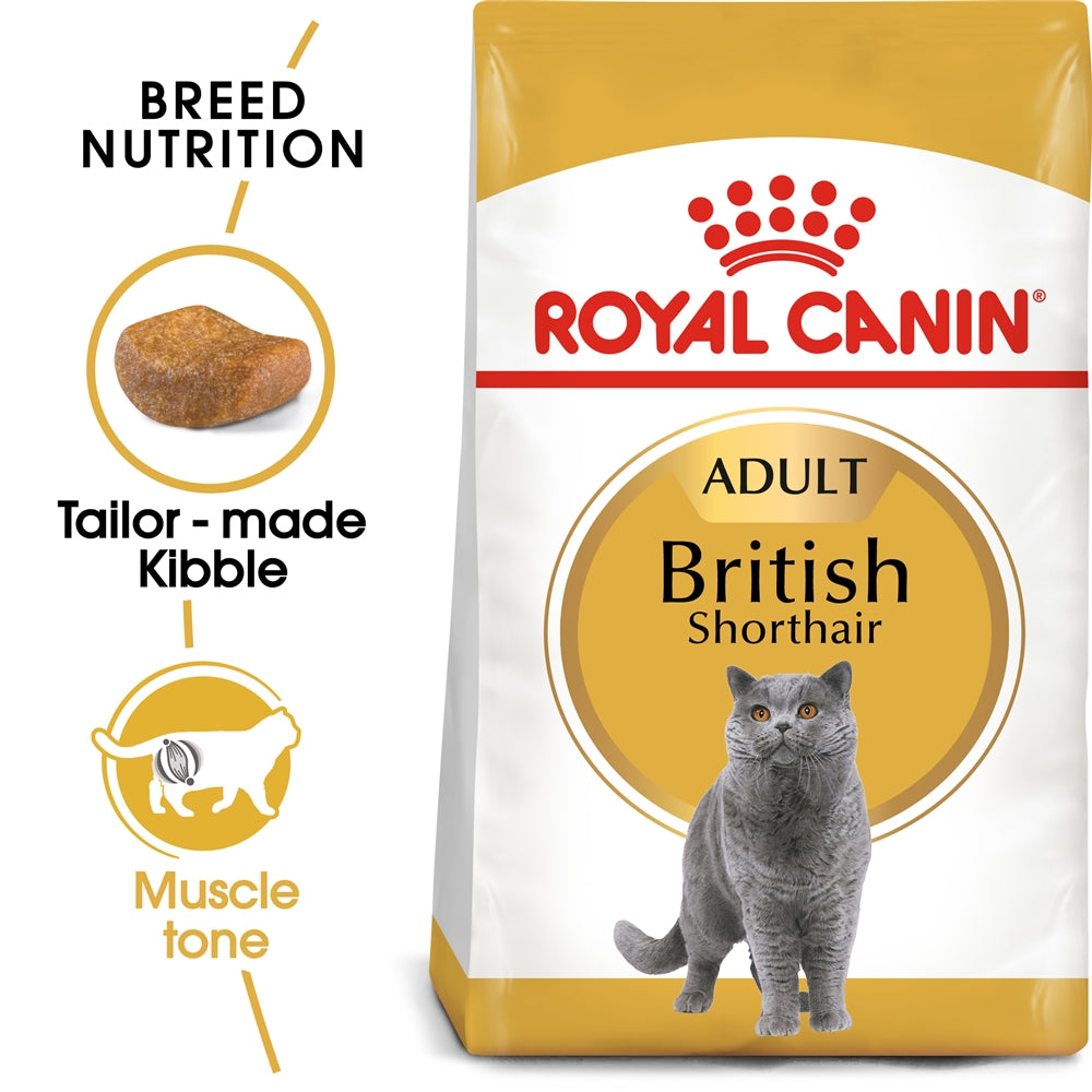 Royal Canin Adult Dry Cat Food for Adult British Shorthair Cats