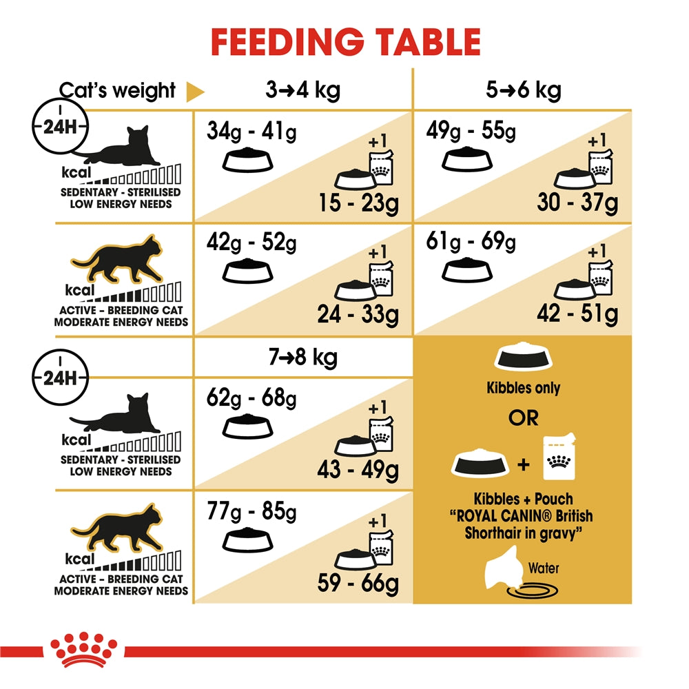 Royal Canin Adult Dry Cat Food for Adult British Shorthair Cats