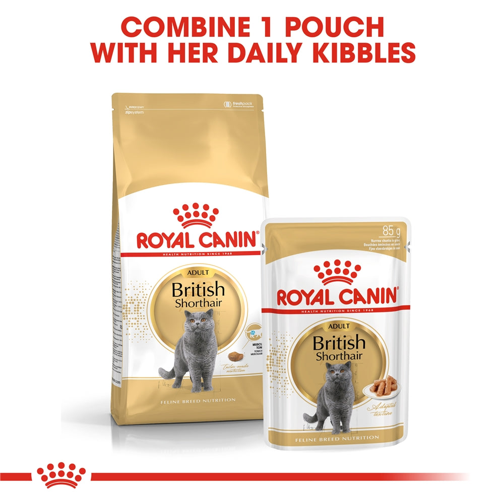 Royal Canin Adult Dry Cat Food for Adult British Shorthair Cats