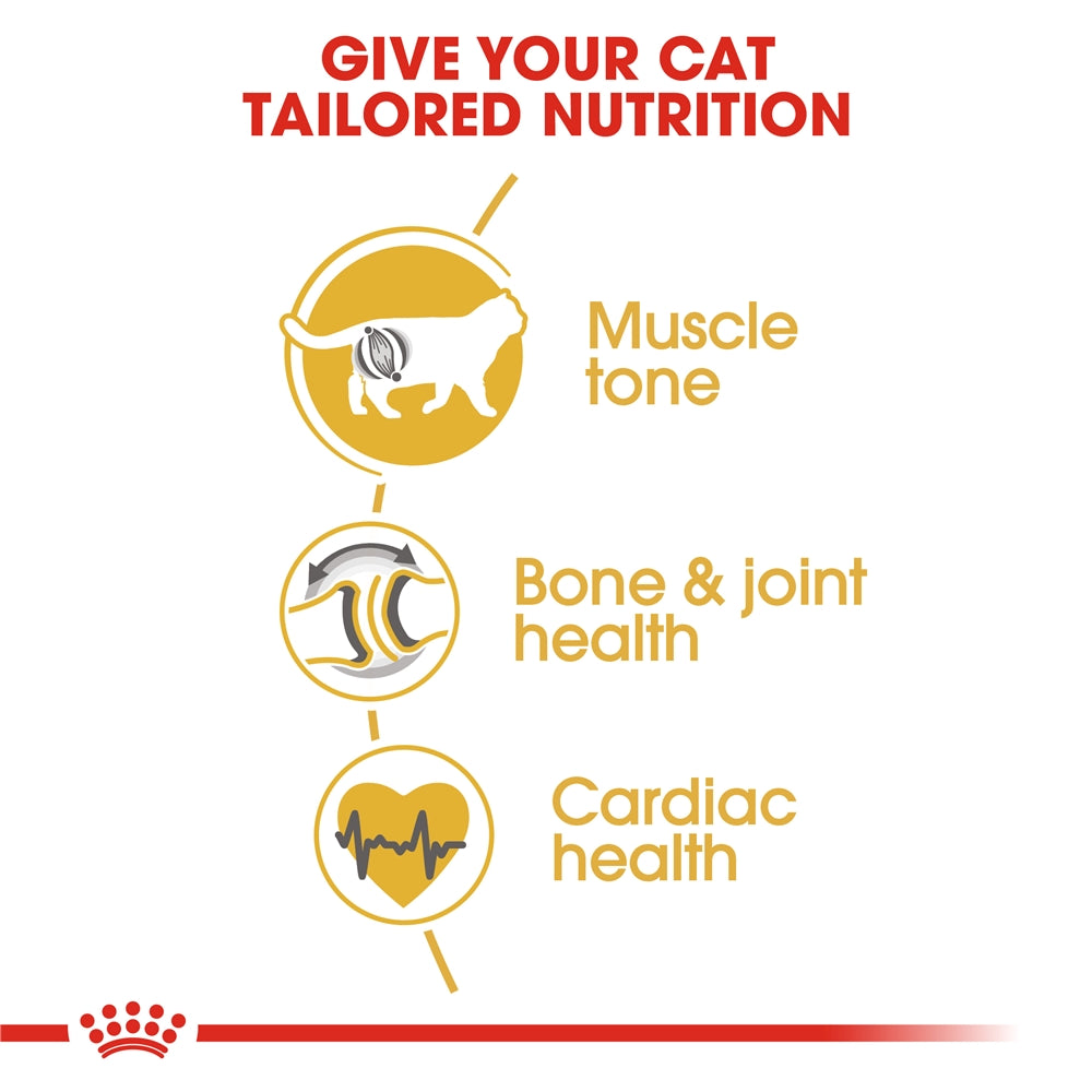 Royal Canin Adult Dry Cat Food for Adult British Shorthair Cats