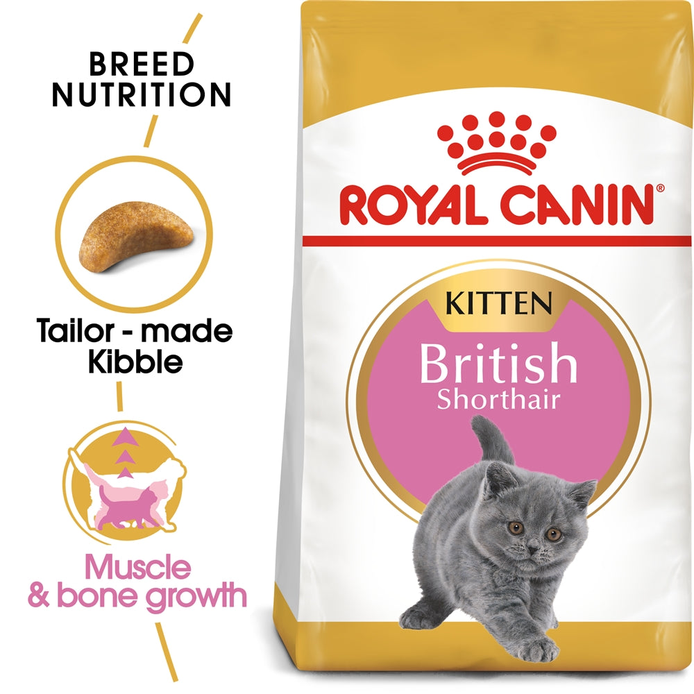 Royal Canin Dry Cat Food for British Shorthair Kittens, 2kg