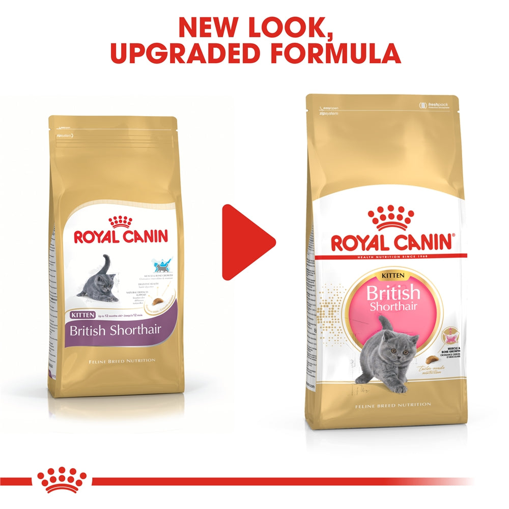 Royal Canin Dry Cat Food for British Shorthair Kittens, 2kg