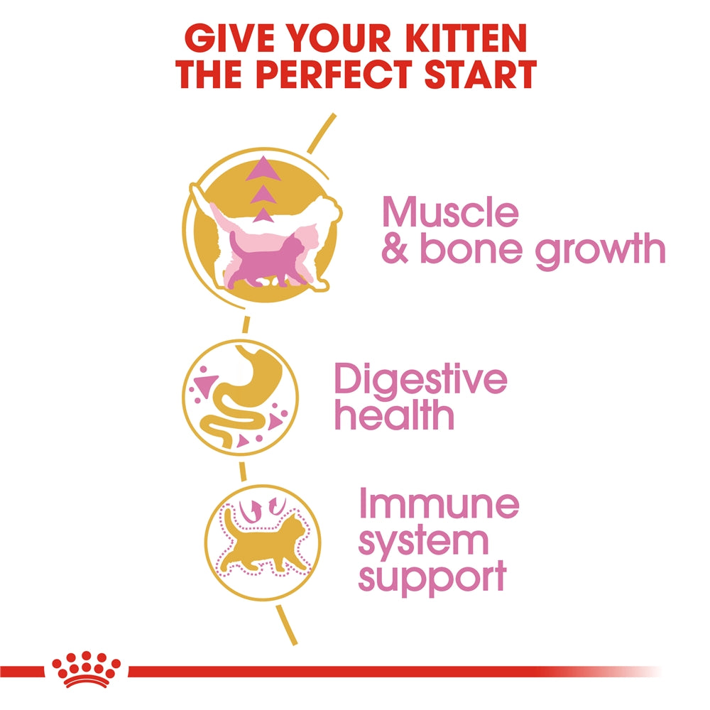 Royal Canin Dry Cat Food for British Shorthair Kittens, 2kg