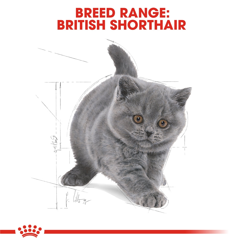 Royal Canin Dry Cat Food for British Shorthair Kittens, 2kg