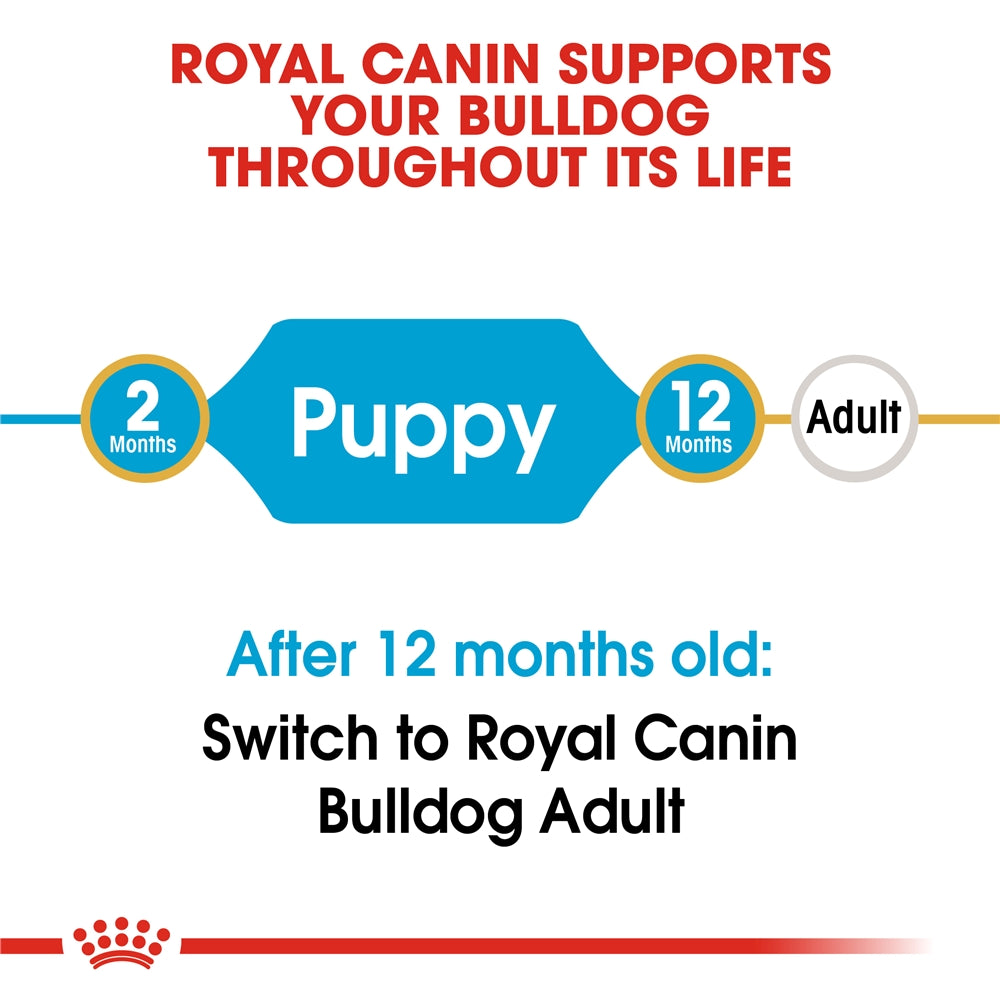 Royal Canin Dry Dog Food for Bulldog Puppies, 3kg