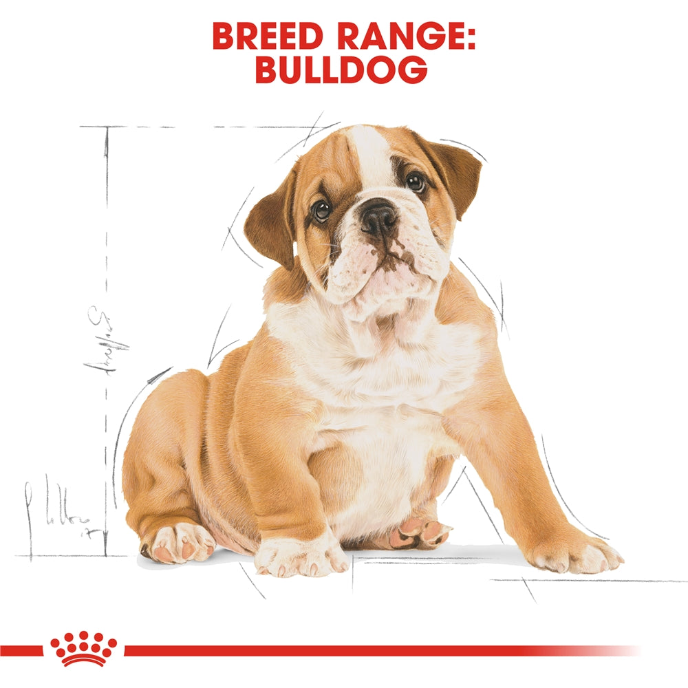Royal Canin Dry Dog Food for Bulldog Puppies, 3kg