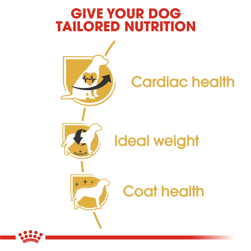 Royal Canin Dry Dog Food for Adult Cavalier King Charles Spaniels, 1.5kg